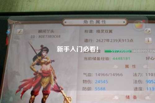 新手入門(mén)必看！