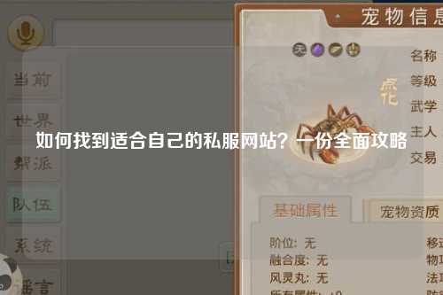 如何找到適合自己的私服網(wǎng)站？一份全面攻略