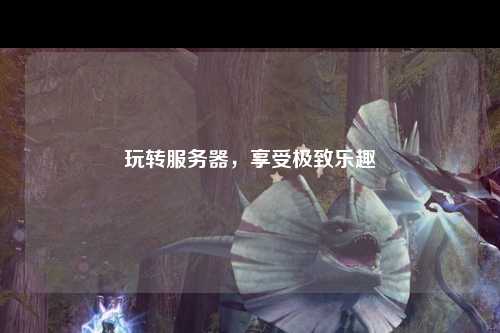 玩轉服務(wù)器，享受極致樂(lè )趣