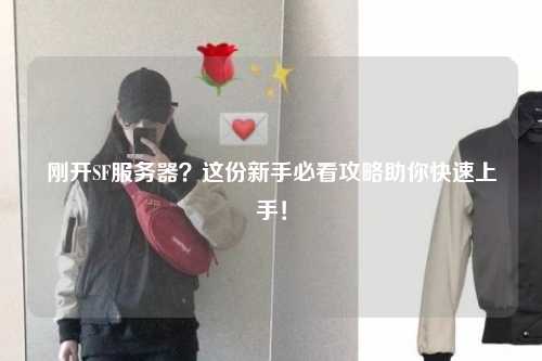 剛開(kāi)SF服務(wù)器？這份新手必看攻略助你快速上手！