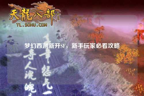 夢(mèng)幻西游新開(kāi)SF，新手玩家必看攻略