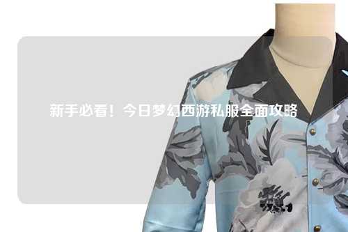 新手必看！今日夢(mèng)幻西游私服全面攻略